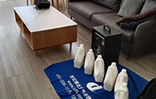 �S�_(t��i)���S�@����ȩ